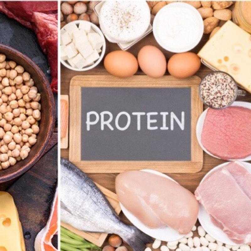Protein thực phẩm